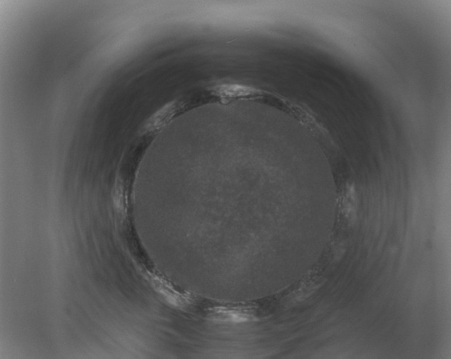 X0000080190763200612152014