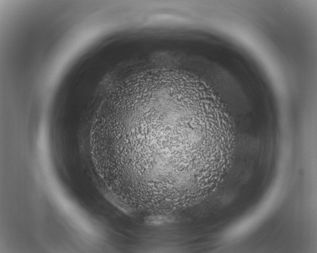 X0000080190765200612152014