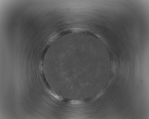 X0000080190766200612152014