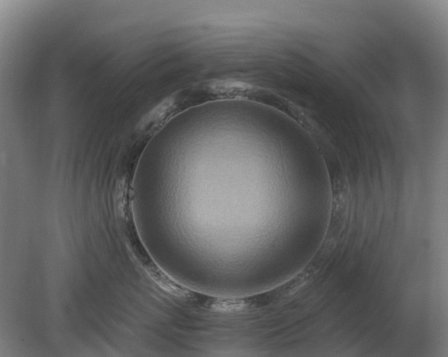 X0000080190767200612152014