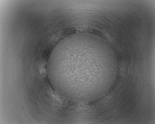 X0000080190770200612152013