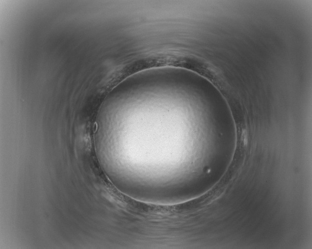 X0000080190771200612152013