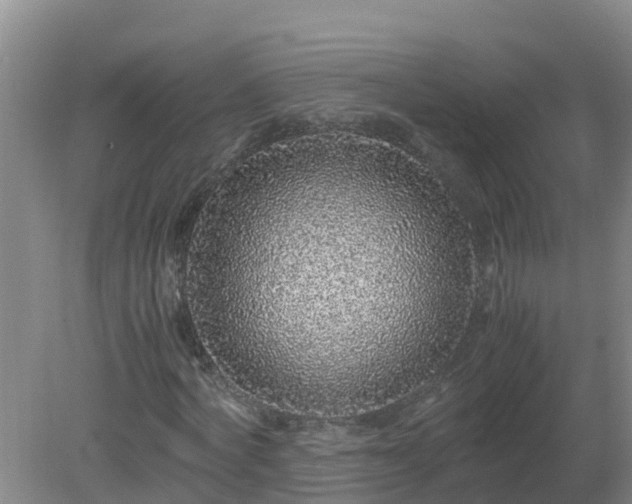 X0000080190772200612152013
