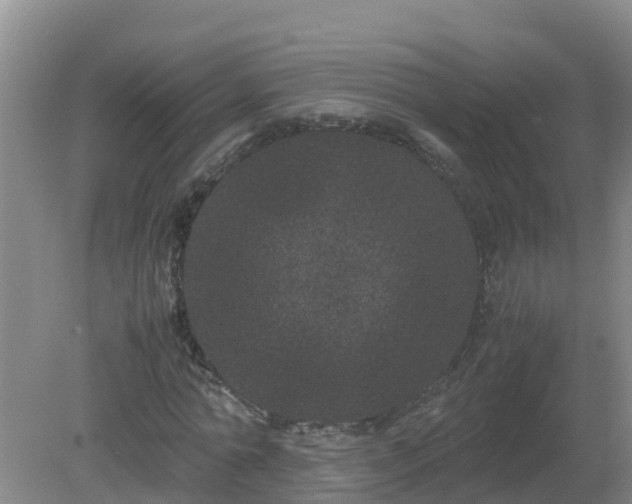 X0000080190774200612152013