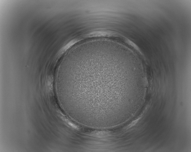 X0000080190778200612152013