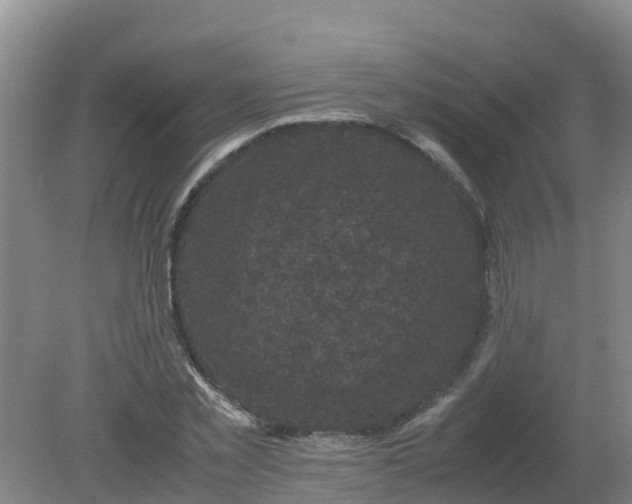 X0000080190781200612152013