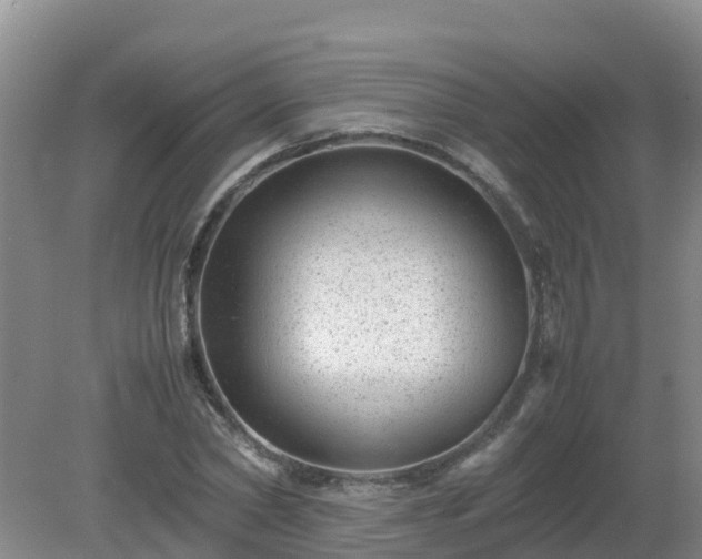 X0000080190782200612152013
