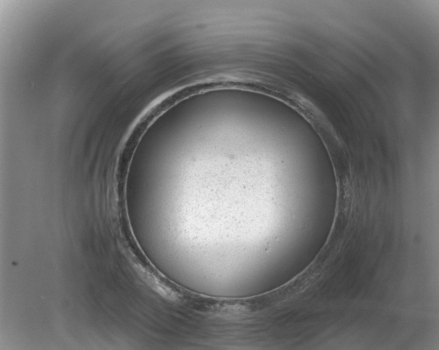 X0000080190784200612152013