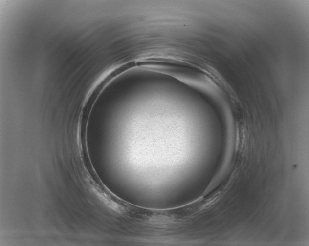 X0000080190788200612152013