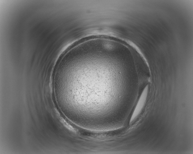 X0000080190791200612152013