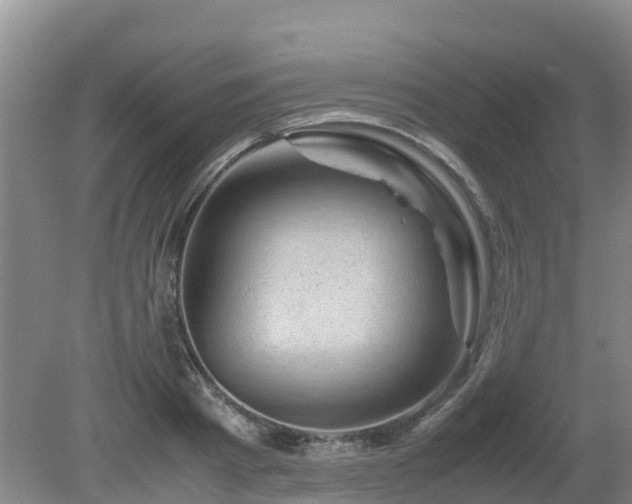 X0000080190793200612152013