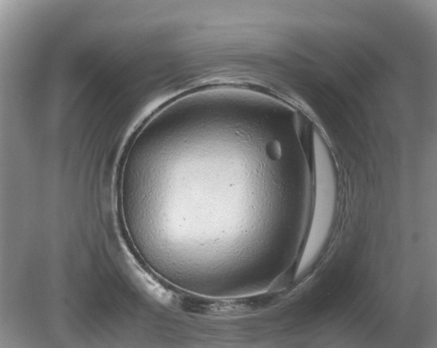 X0000080190795200612152013