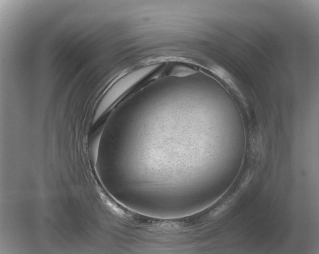 X0000080190801200612152013
