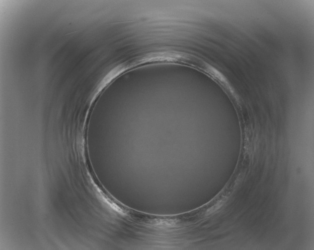 X0000080190802200612152013