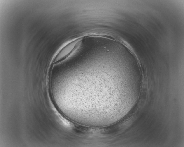 X0000080190803200612152013