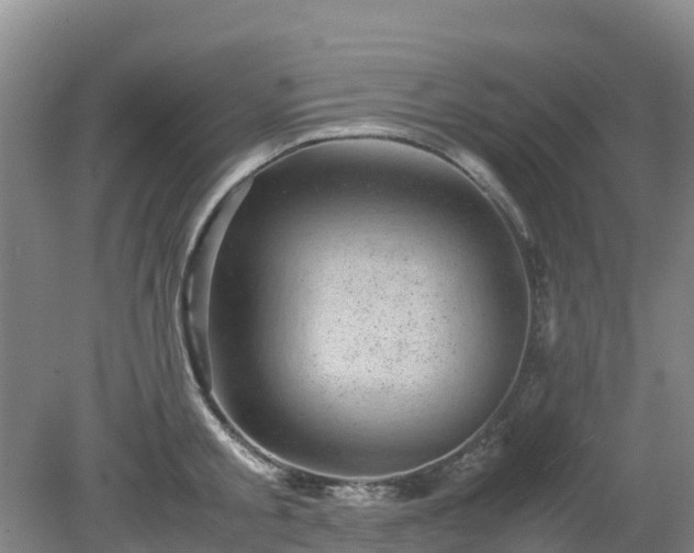 X0000080190805200612152013