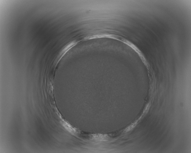 X0000080190809200612152012