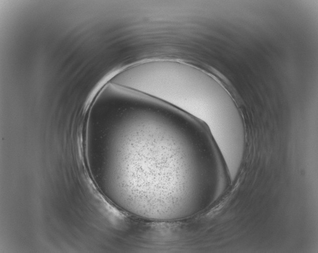X0000080190812200612152012