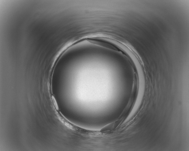 X0000080190813200612152012