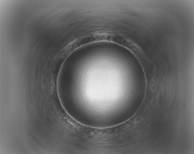 X0000080190821200612152012