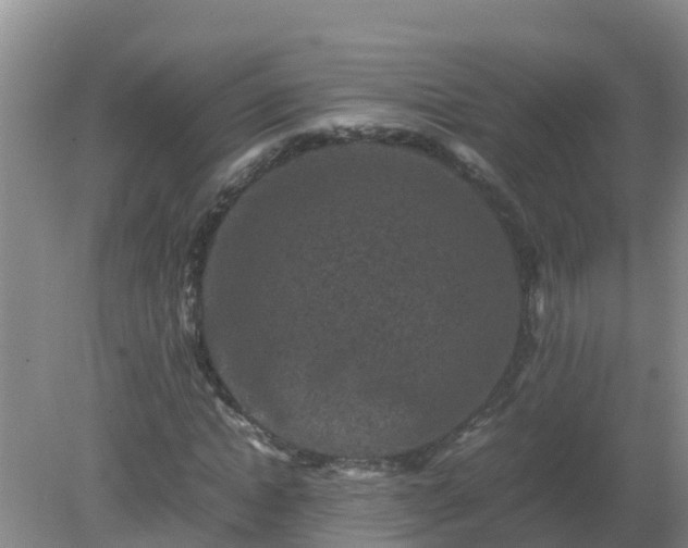 X0000080190822200612152012