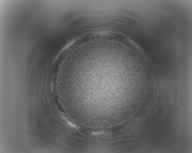 X0000080190823200612152012