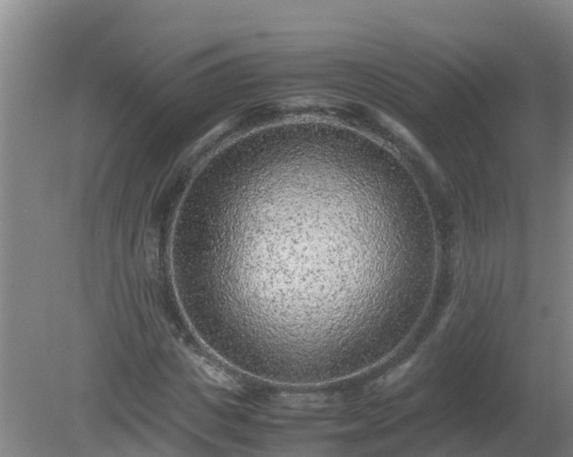 X0000080190825200612152012