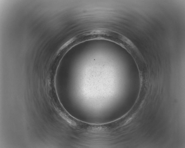 X0000080190826200612152012