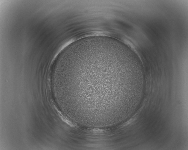 X0000080190827200612152012