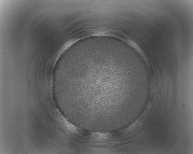 X0000080190831200612152012