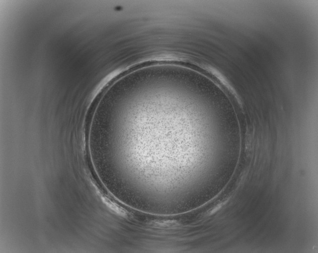 X0000080190837200612152012