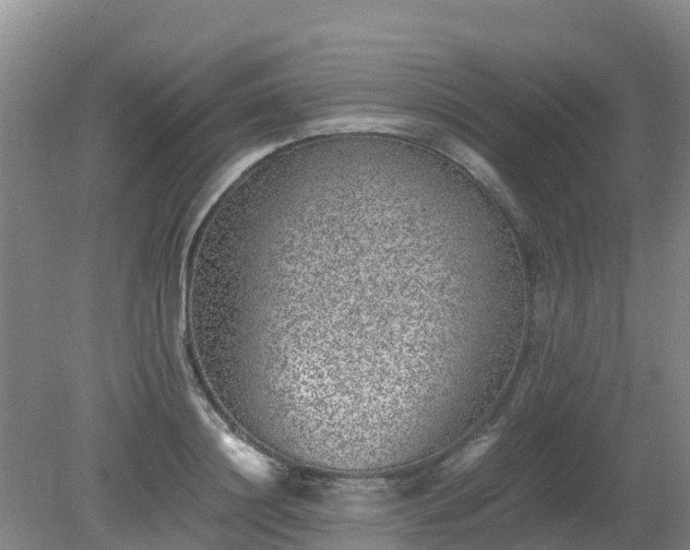 X0000080190844200612152012