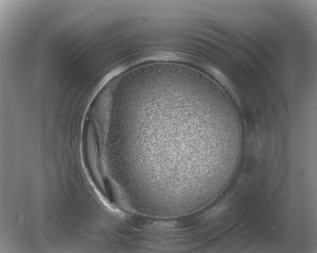 X0000080190845200612152012