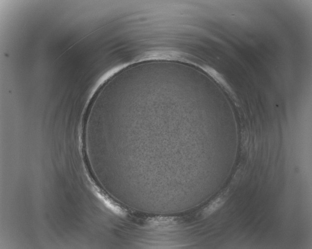 X0000080190846200612152012