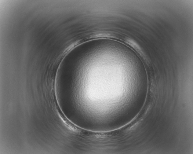 X0000080190849200612152012