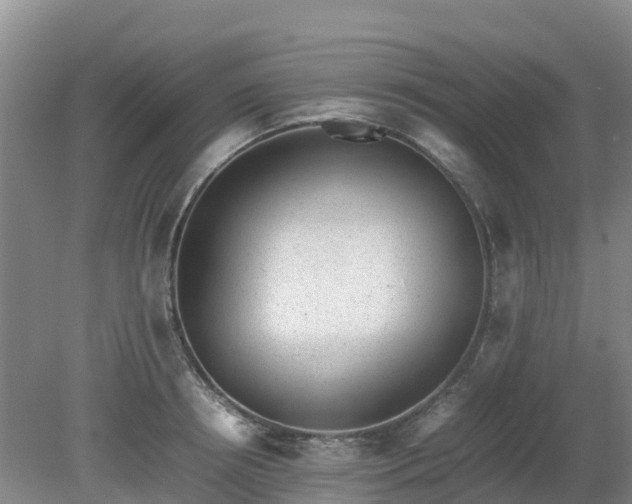 X0000080190850200612152012