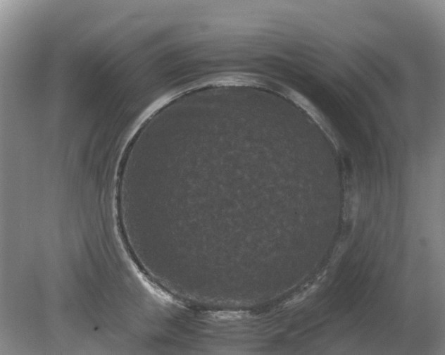 X0000080190853200612152012