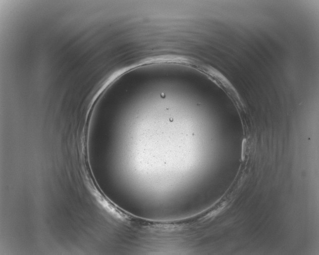 X0000080190860200612152012