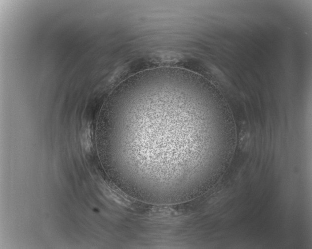 X0000080190866200612152012