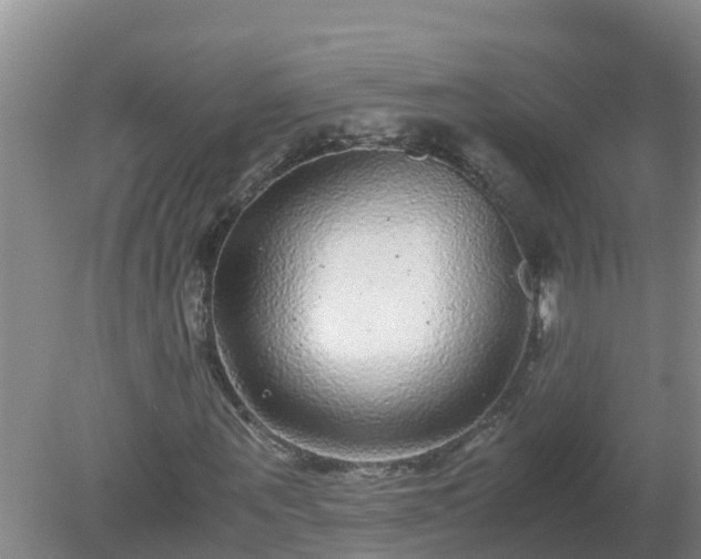 X0000080190867200612152012