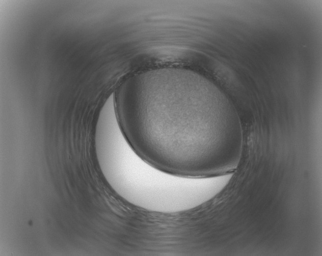 X0000080190868200612152011