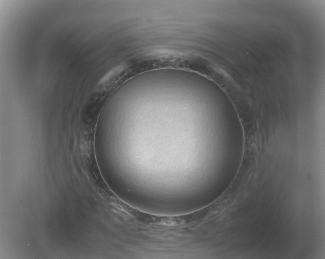 X0000080190869200612152011