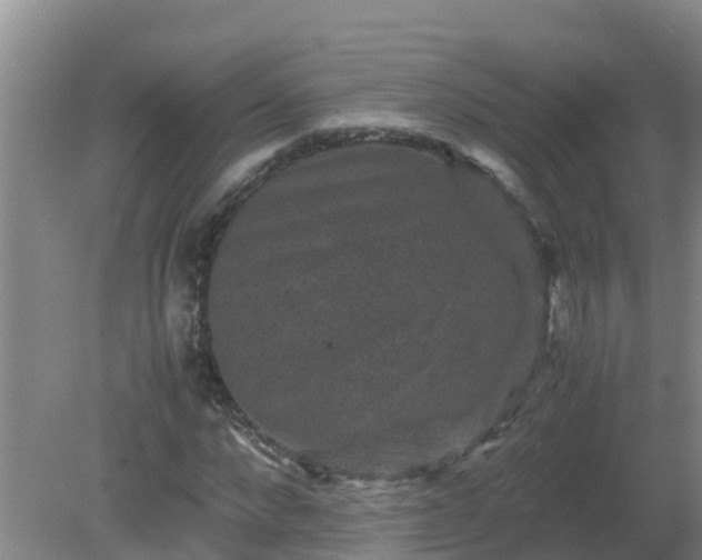 X0000080190872200612152011