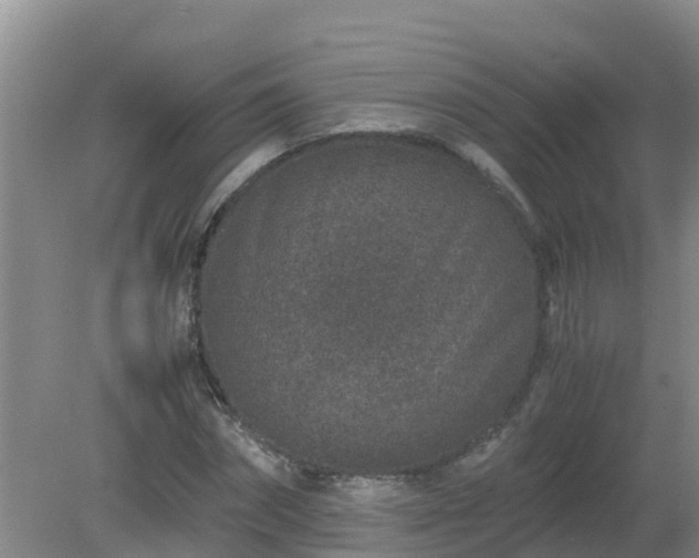 X0000080190874200612152011