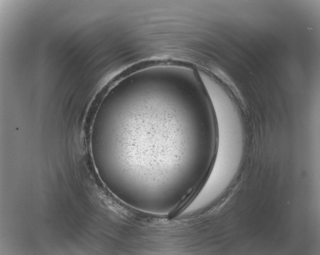 X0000080190876200612152011