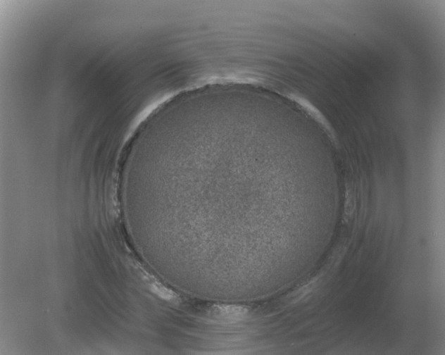 X0000080190878200612152011