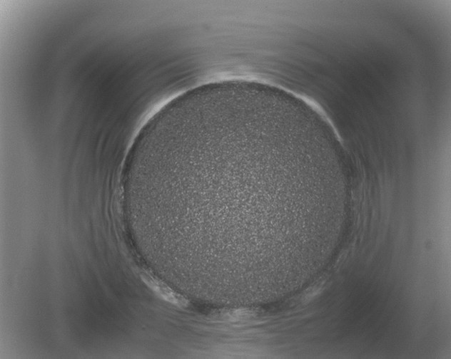 X0000080190879200612152011