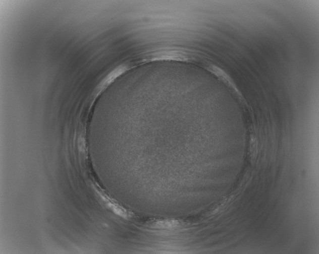 X0000080190882200612152011