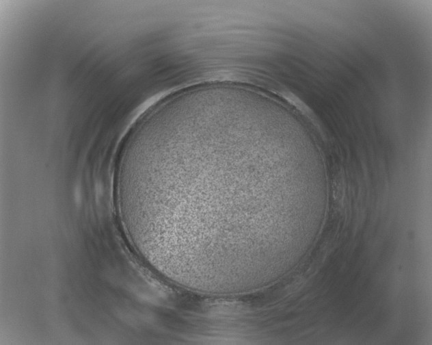X0000080190886200612152011
