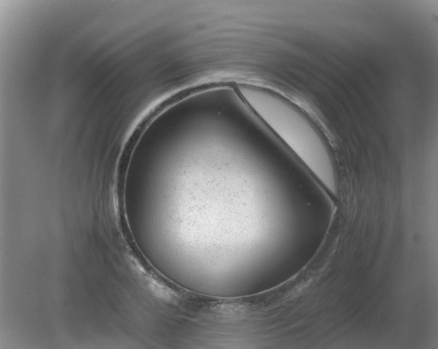 X0000080190888200612152011